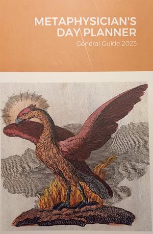 Metaphysician's Day Planner: General Guide 2023 by Benebell Wen