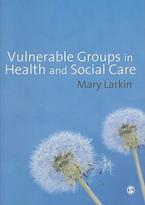 Vulnerable Groups in Health and Social Care by Mary Larkin
