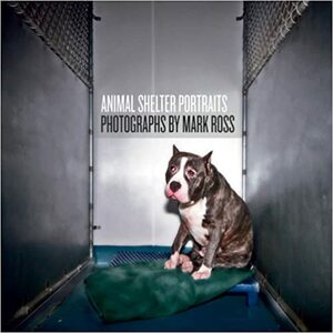 Animal Shelter Portraits by Mark Ross