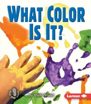 What Color Is It? by Sheila Rivera