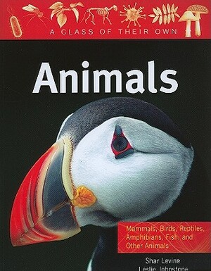 Animals: Mammals, Birds, Reptiles, Amphibians, Fish, and Other Animals by Shar Levine, Leslie Johnstone