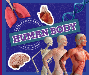 Human Body by M. J. York