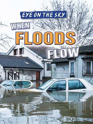 When Floods Flow by Barbara M. Linde