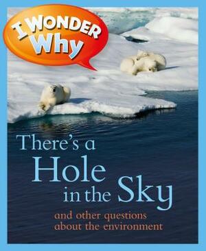 I Wonder Why There's a Hole in the Sky: And Other Questions about the Environment by Sean Callery