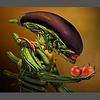 alienketchup's profile picture