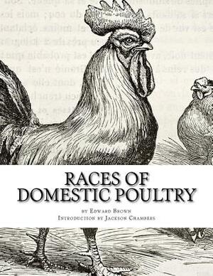 Races of Domestic Poultry: A Guide to Poultry Breeds by Edward Brown