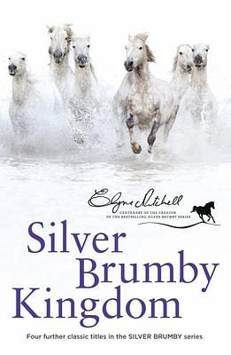 SILVER BRUMBY KINGDOM (SILVER BRUMBY #5-8) by Elyne Mitchell