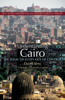 Understanding Cairo: The Logic of a City Out of Control by David Sims