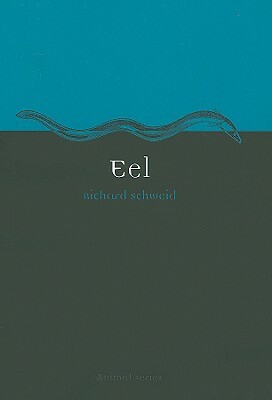 Eel by Richard Schweid