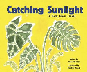 Catching Sunlight: A Book about Leaves by Susan Blackaby