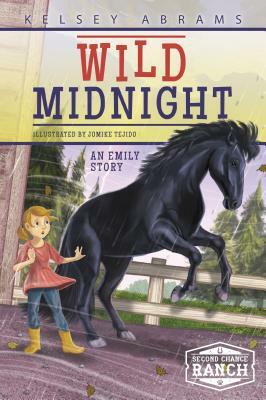 Wild Midnight: An Emily Story by Kelsey Abrams