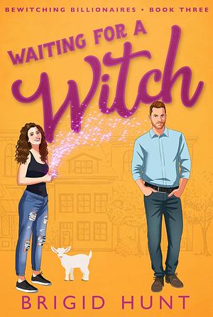 Waiting for a Witch by Brigid Hunt