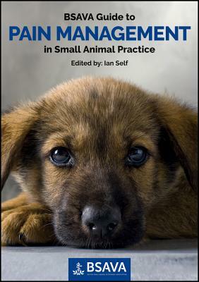 BSAVA Guide to Pain Management in Small Animal Practice by 