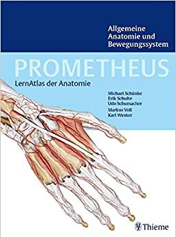 PROMETHEUS Lernatlas der Anatomie: Allgemeine Anatomie und Bewegungssystem by Michael Schünke