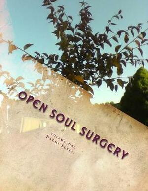 Volume One, Open Soul Surgery, deluxe large print color edition: The Seer by Naomi Levell