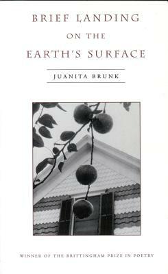 Brief Landing on the Earth's Surface by Juanita Brunk