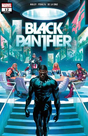 Black Panther #12 by John Ridley