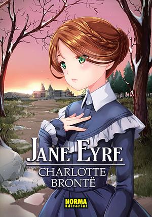 Jane Eyre by Stacy King