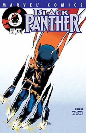 Black Panther #33 by Sal Velluto, Christopher J. Priest
