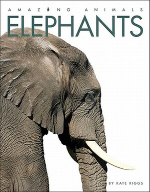 Amazing Animals: Elephants by Kate Riggs