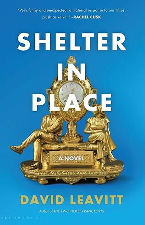 Shelter in Place by David Leavitt