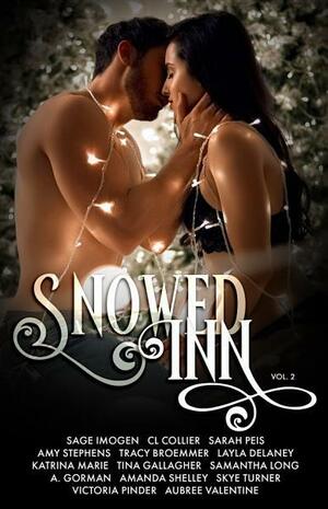 Snowed Inn: Volume 2 by A. Gorman, Tina Gallagher, Amanda Shelley, Victoria Pinder, Sarah Peis, Layla Delaney, Amy Stephens, Tracy Broemmer, Katrina Marie, C.L. Collier, Sage Imogen, Skye Turner, Samantha Long, Aubree Valentine