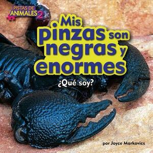 MIS Pinzas Son Negras y Enormes (Scorpion) by Joyce L. Markovics