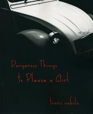 Dangerous Things to Please a Girl by Travis Cebula