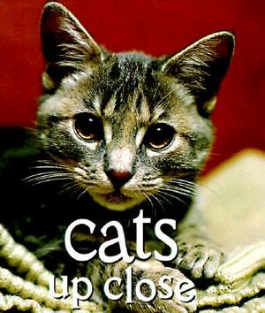 Cats Up Close: The Guide to Vintage Patterns and Clothing by Vicki Constantine Croke