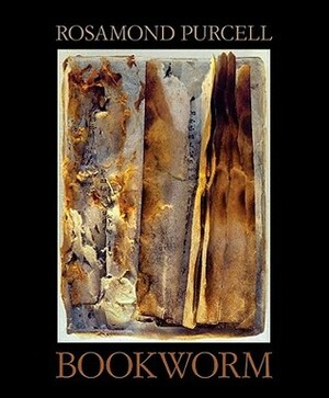 Bookworm by Rosamond Wolff Purcell