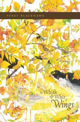 The Whisk and Whir of Wings by Terry Blackhawk