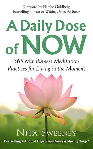 A Daily Dose of Now: 365 Mindfulness Meditation Practices for Living in the Moment by Nita Sweeney