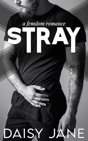 Stray by Daisy Jane