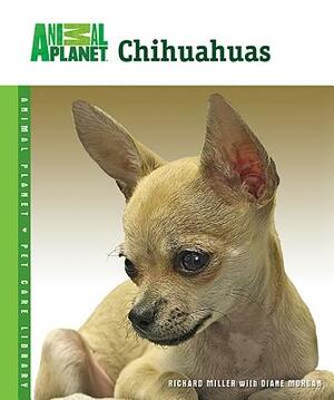 Chihuahuas by Richard Miller