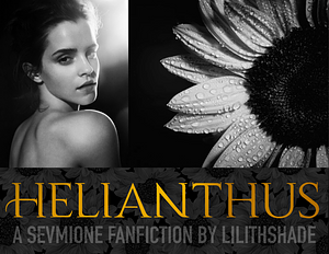 HELIANTHUS  by LilithShade