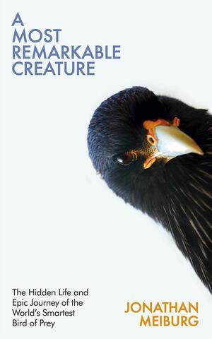 A Most Remarkable Creature: The Hidden Life and Epic Journey of the World's Smartest Bird of Prey by Jonathan Meiburg