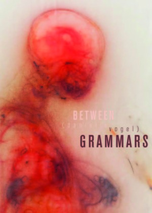 Between Grammars by Danielle Vogel