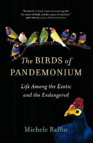 The Birds of Pandemonium by Michele Raffin