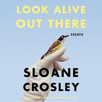 Look Alive Out There: Essays by Sloane Crosley