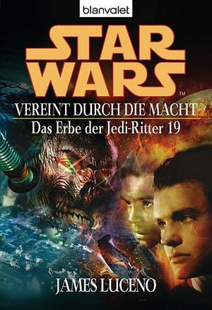 Star Wars^ Das Erbe der Jedi-Ritter 19 by James Luceno