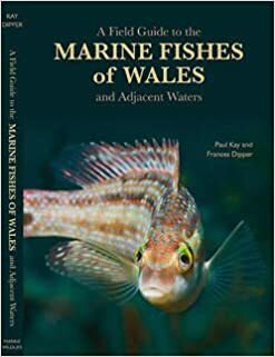 A Field Guide to the Marine Fishes of Wales and Adjacent Waters by Paul Kay, Frances Dipper
