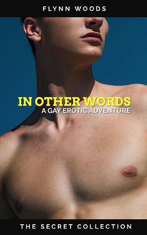 In Other Words: A Gay Erotic Adventure by Flynn Woods