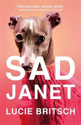 Sad Janet: A whip-smart, hilarious satire of our obsession with happiness by Lucie Britsch