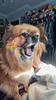 livtort's profile picture