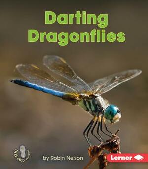 Darting Dragonflies by Robin Nelson