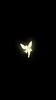 ibnat's profile picture