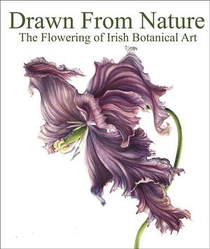 Drawn Nature: The Flowering of Irish Botanical Art by Patricia Butler