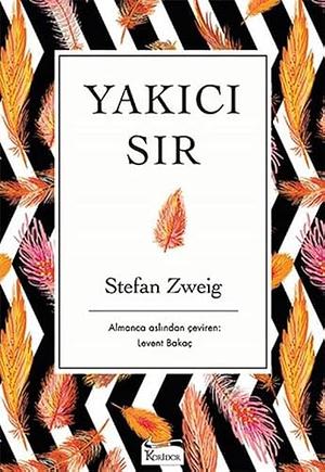 Yakici Sir Bez Ciltli by Stefan Zweig