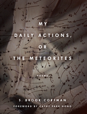 My Daily Actions, or the Meteorites by S. Brook Corfman