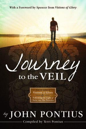 Journey to the Veil by Terri Pontius, John Pontius